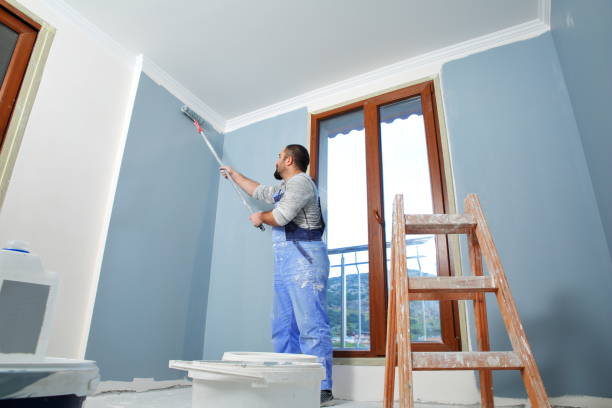 Best Residential Painting  in Rising Sun, MD