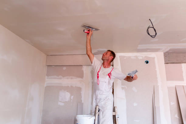 Best Stucco Painting  in Rising Sun, MD