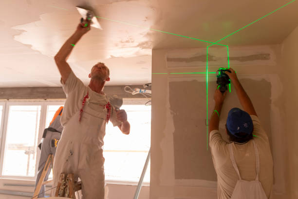 Best Water-Damaged Drywall Repair  in Rising Sun, MD