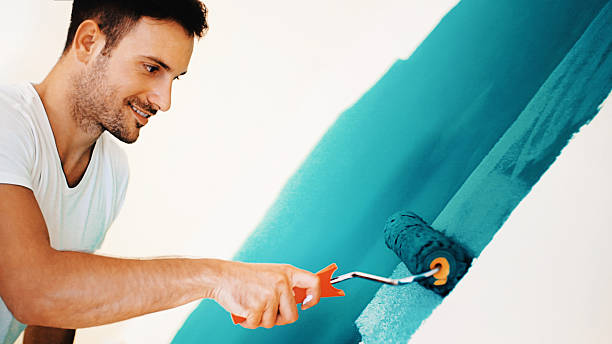 Wallpaper Removal and Painting in Rising Sun, MD